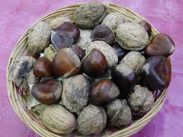 Chaquetía 2025-2026